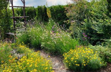 Ferienwohnung Lotte - Foto 51