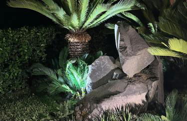 La Dimora degli ulivi - Foto 54