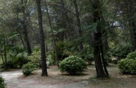 Le Clos Zinou - Foto 28