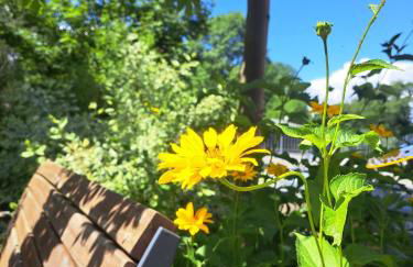 FerienRemise - Foto 57