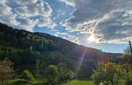 Ferienwohnung Vordere Halde - Foto 9