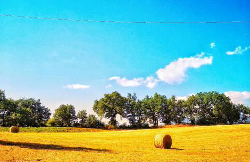 Da Foschetta - Foto 40