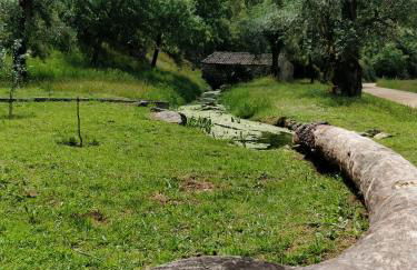 Poço e Meio - Padel & Pool - Foto 68