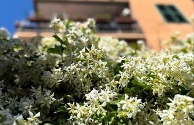 Cioccis Boutique Apartment - Foto 16