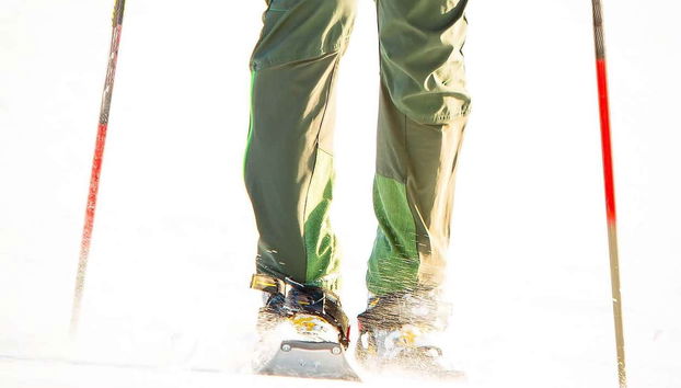 Discover the best of Seward