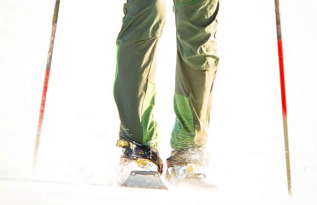 Seward Snowshoeing Tour - Photo 4