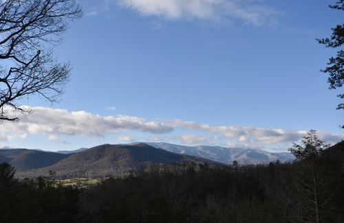 East Tennessee Family Mountain Retreat with Private Vineyard - Photo 17