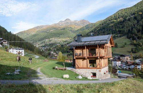 Maso Stregozzi - Valorz - Foto 41