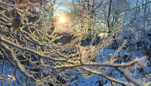 Ferienwohnung Ruhepol - Foto 2