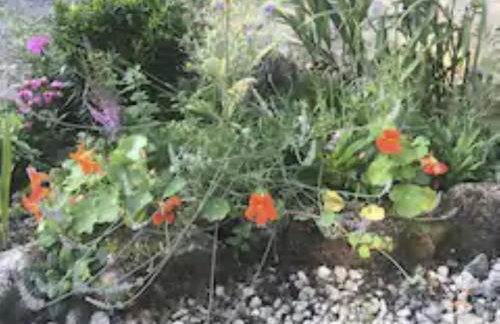 Holiday Home Idyllisches-haustierfreundliches Landhaus Lavender by Interhome - Photo 20