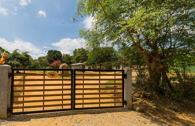 Forestville Yala - Foto 31