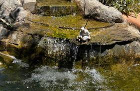 Marios House - Photo 34