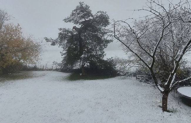 Holiday Home 'ardennes Blue' in Theux Near Spa - Photo 37