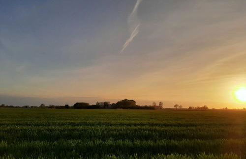 Ferienwohnungen Stellerbruch - Foto 7
