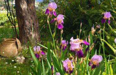Il giardino sull'isola - Appartamento - Bergeggi - Foto 34