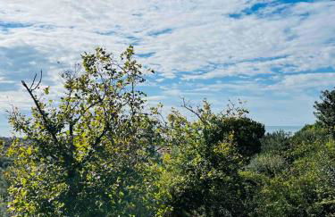 Villa Afrodite - Foto 23