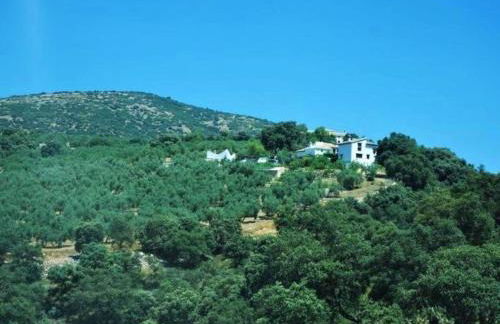 Country House in Andalusia with Pool - Foto 39