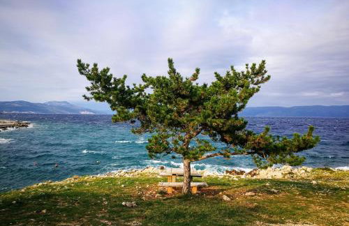 Studio Apartment Nature - Photo 18