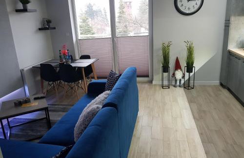 Apartamenty Limanowskiego - Foto 42