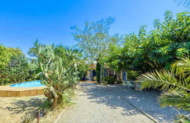 Ave de Paso - Foto 29