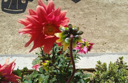 le clos du ventoux - Photo 24