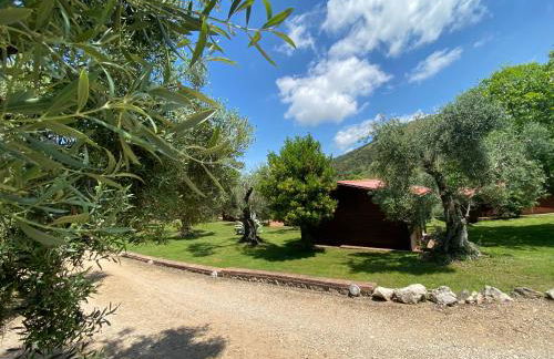 I Giardini Di Margius - Foto 17