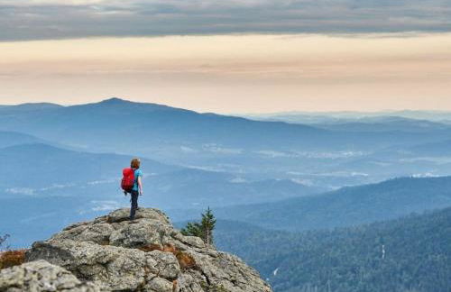 Sonnenblick Comfortable holiday residence - Photo 32