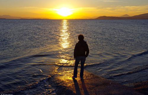 Garden house escape - Foto 41