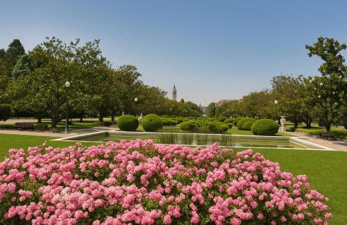 EXCLUSIVO TAPAS EL TUBO CHECKIN 24H Centro 1 - Photo 29
