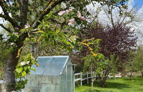 Historisches Bauernhaus für 8 Personen mit Luxus und Natur auf 2 Etagen ideal für Familien und Hunde 2500m2 eingezäunt an der Ostsee - Foto 47