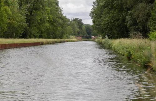 Chalet in Dabo near Castle Ruins - Photo 23