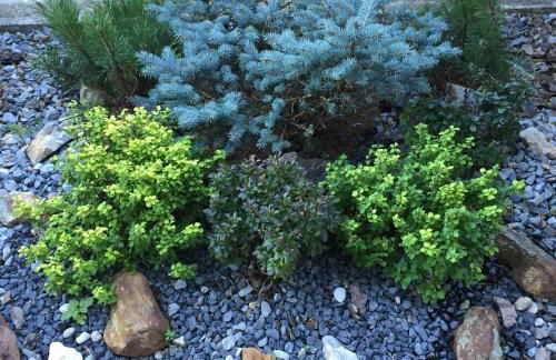 Casa Bracchi - Photo 41