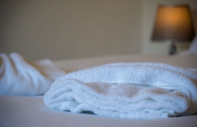 Avoca - 3 Bedroom - Llangennith - Photo 18