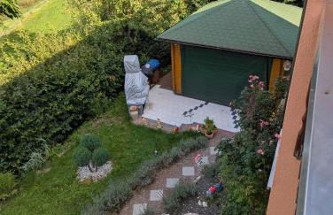 Ferienwohnung Bahr - Foto 11