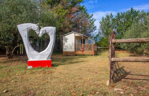 L’oliveraie Écuries Mas di Gau - Foto 13