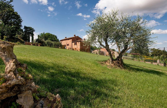 Farmhouse in Tuscany With Pool and Hill Views - Photo 34
