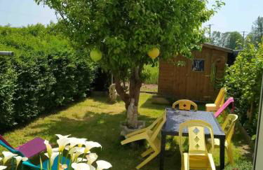 les Albatros - Foto 15