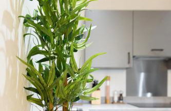 #57 Central Taunton 2BR APT - Sleeps 6 - 5 mins to Taunton Player Ready 2 - "Perfect For Contractors and Families - Free Parking" - Foto 8