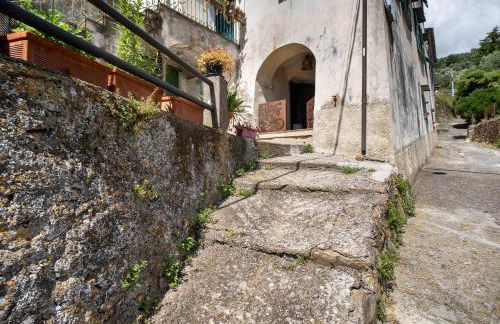 Modern Heritage House - Foto 30