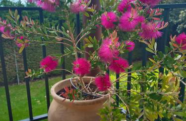 El encinar de Gabino - Foto 20