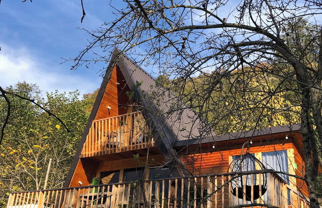 Thomas Hut - Foto 49