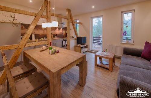 Auszeit-im-Harz Haus 2 Wohnung 1 - Foto 1