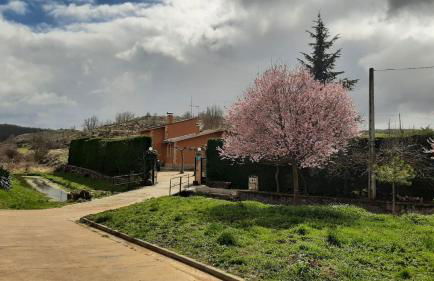 Paleolítico rural - Photo 50