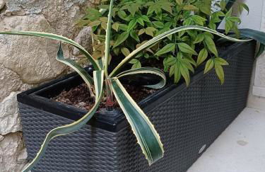 MONNALISA House - Foto 17