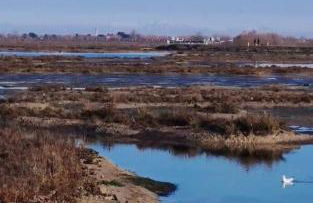 A&G Elettra flat a pochi passi dal mare e Venezia - Foto 33