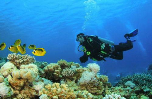 Josef House - Foto 41