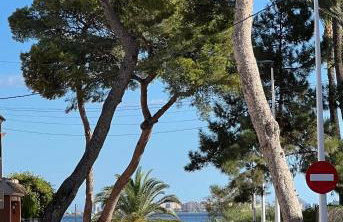 Gardenias Friends&Family Beach Appartment - Photo 18