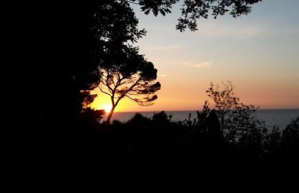 Villa Gianfelici - Foto 39