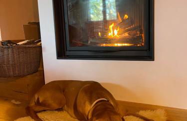 Chalet Leonard House in the wood - Foto 23