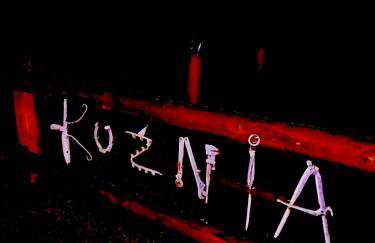 Wioska Kowala - Foto 56